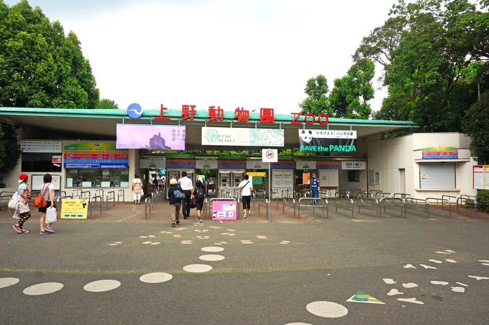 日本と世界の動物が集まる 上野動物園 へ行こう Matcha 訪日外国人観光客向けwebマガジン