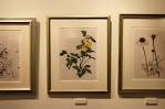 ginza_gallery_20150924c