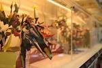 akihabara_tour_20151001s