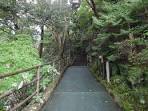 山道