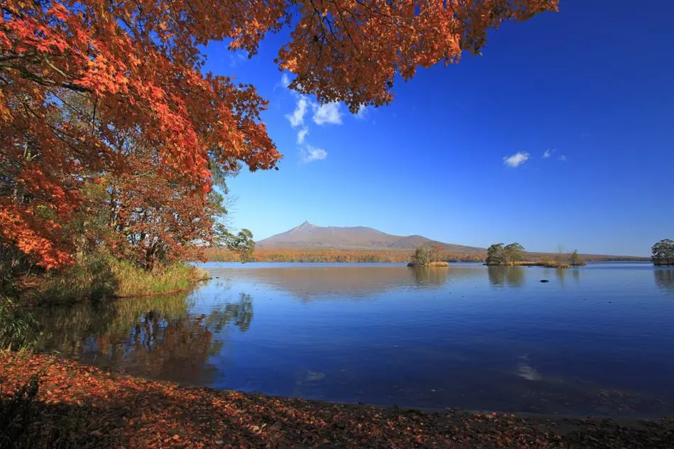 hokkaidou kouyou_1028b