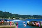 羽島の海を望む