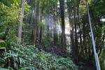 takaosan_walking_20151029e