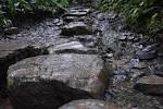 takaosan_walking_20151029m