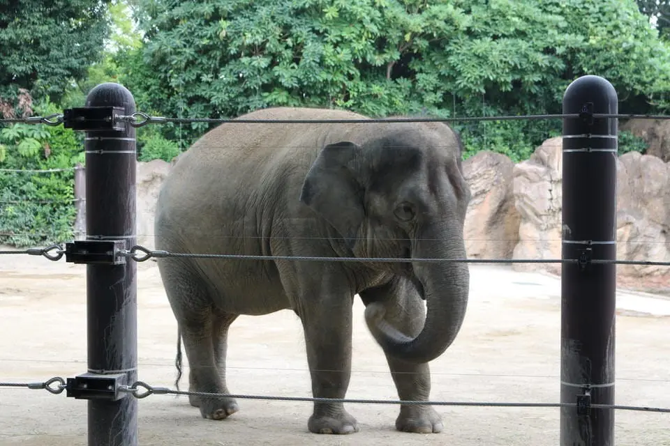 ueno_thingstodo_20151016b