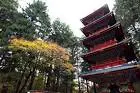 ศาลเจ้านิกโก้โทโชกู (Nikko Toshogu Shrine) มรดกโลกแห่งนิกโก้