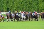 Racehorse_20151112