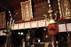 fukuoka_hakatasennenkouya_20151120
