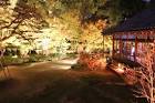 hakatasennenkouya-photo10