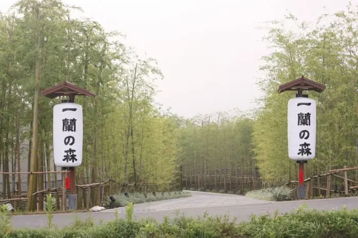 ichirannomori-photo1