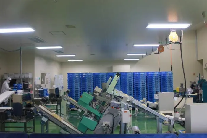 ichirannomori-photo5