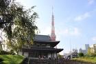 zojoji photo03