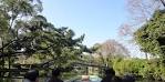 yanagawa photo 12