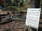 水あそび広場
