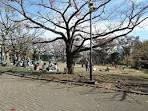 しばふ広場