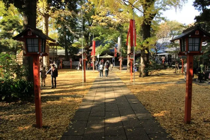 todorokikeikoku20151207i