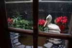 francois_garden
