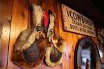 jacksonhole_20160122_e