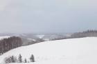 nhk_biei_20160119a
