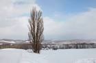 nhk_biei_20160119g