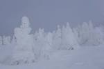 hakkoudasan_20160216_k