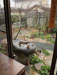 gallery cafe muguet photo13