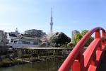 桜が散ったら次はこれ!春の花藤の名所「亀戸天神社」