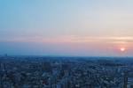 carrottower7_20160523