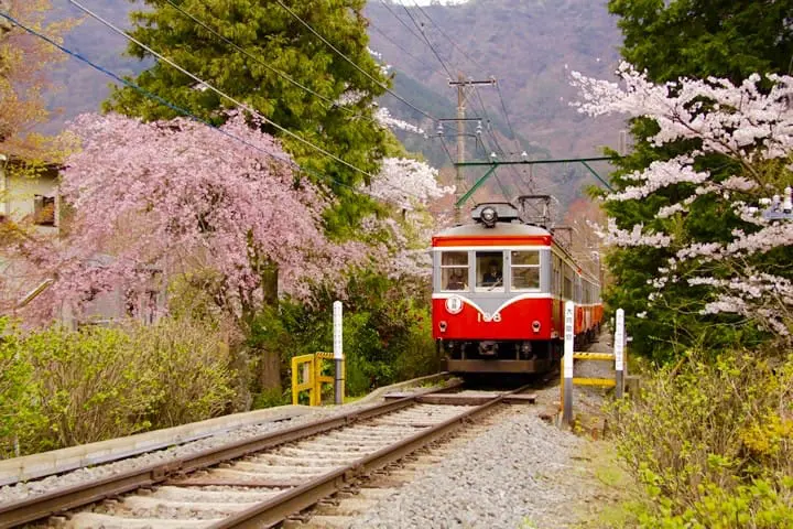 ไกด์นำเที่ยวฮาโกเนะอันเลื่องชื่อเรื่องออนเซ็นและธรรมชาติอันอุดมสมบูรณ์