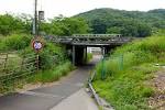 1年中楽しめる夢の花園、栃木県「あしかがフラワーパーク」