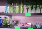 okinawatown-4