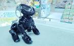 robophoto09