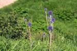 町の半分が国立公園!!四季の自然と絶景の町、大分県九重町案内