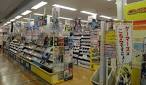 aruarucity photo 10