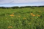 町の半分が国立公園!!四季の自然と絶景の町、大分県九重町案内
