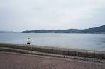 miyazu seaside