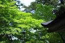 tengu20160712e