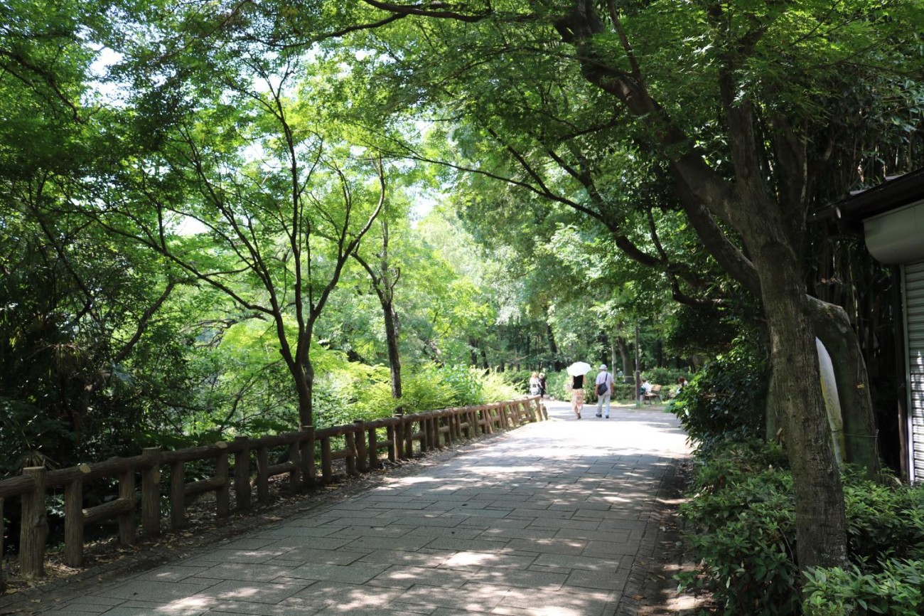 動物園にカフェも!!日本一住みたい町の憩いの場、吉祥寺・井の頭恩賜公園