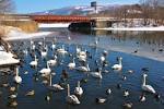 The_Onuma_Quasi-National_Park-5
