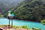 黒部峡谷トロッコ電車に乗って、富山県の雄大な自然を堪能!