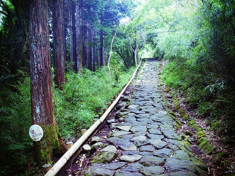 hakone_info_b