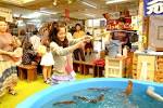 s_Hakodate_Morning_Market-3
