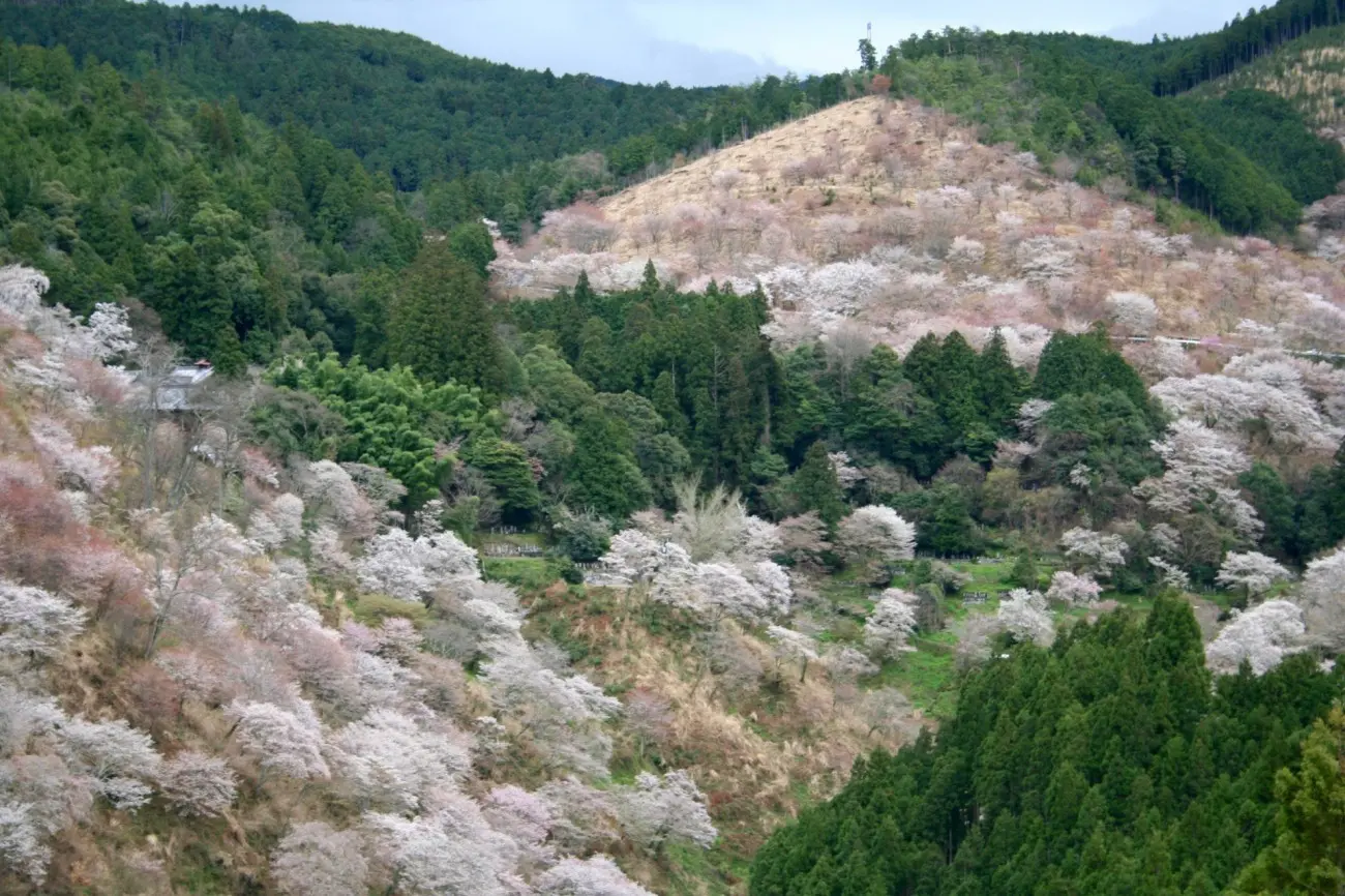 1400年の歴史を感じる、日本の古都・奈良の観光名所10選