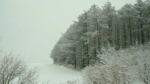 hokkaido_20160926.20