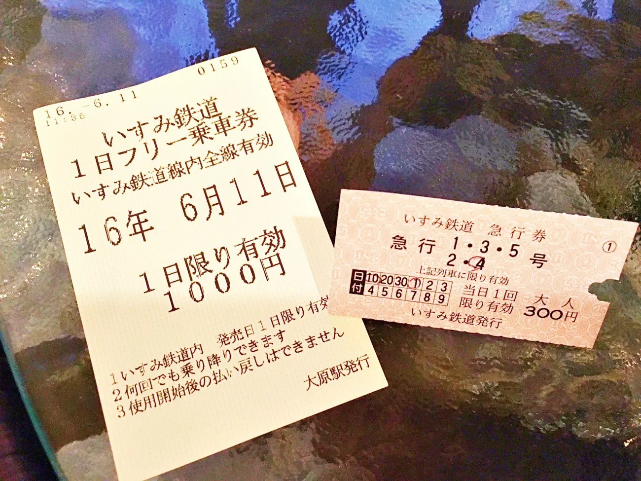 【東京近郊】ムーミンと一緒に旅行しよう！千葉県いすみ鉄道の田舎旅
