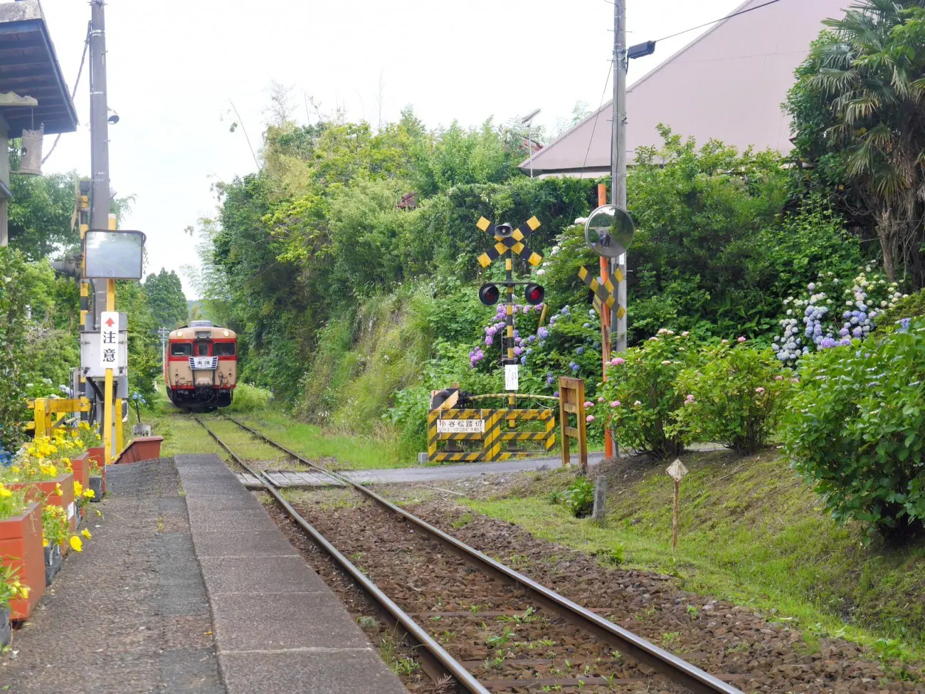 【東京近郊】ムーミンと一緒に旅行しよう！千葉県いすみ鉄道の田舎旅