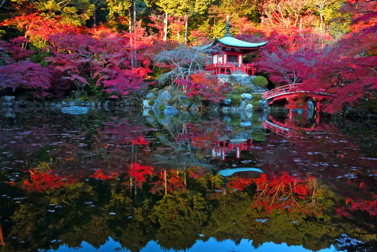 교토 관광 100% 가이드! 명소 39선&교통・호텔・기념품에 날씨까지!