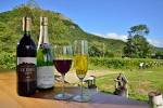 sapporo wine