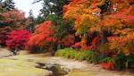 Tohoku Koyo photo10