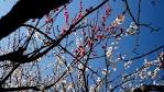 th_pasted-image-small-8